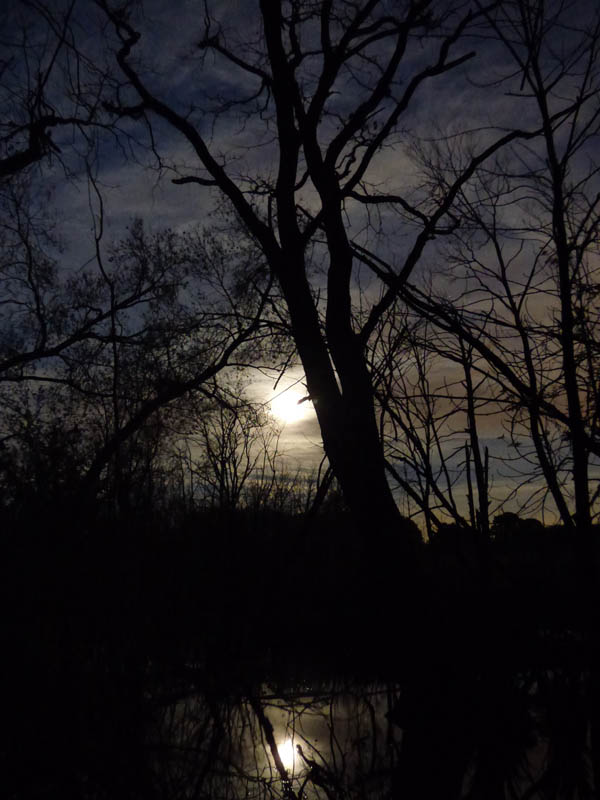 Marais lunaire